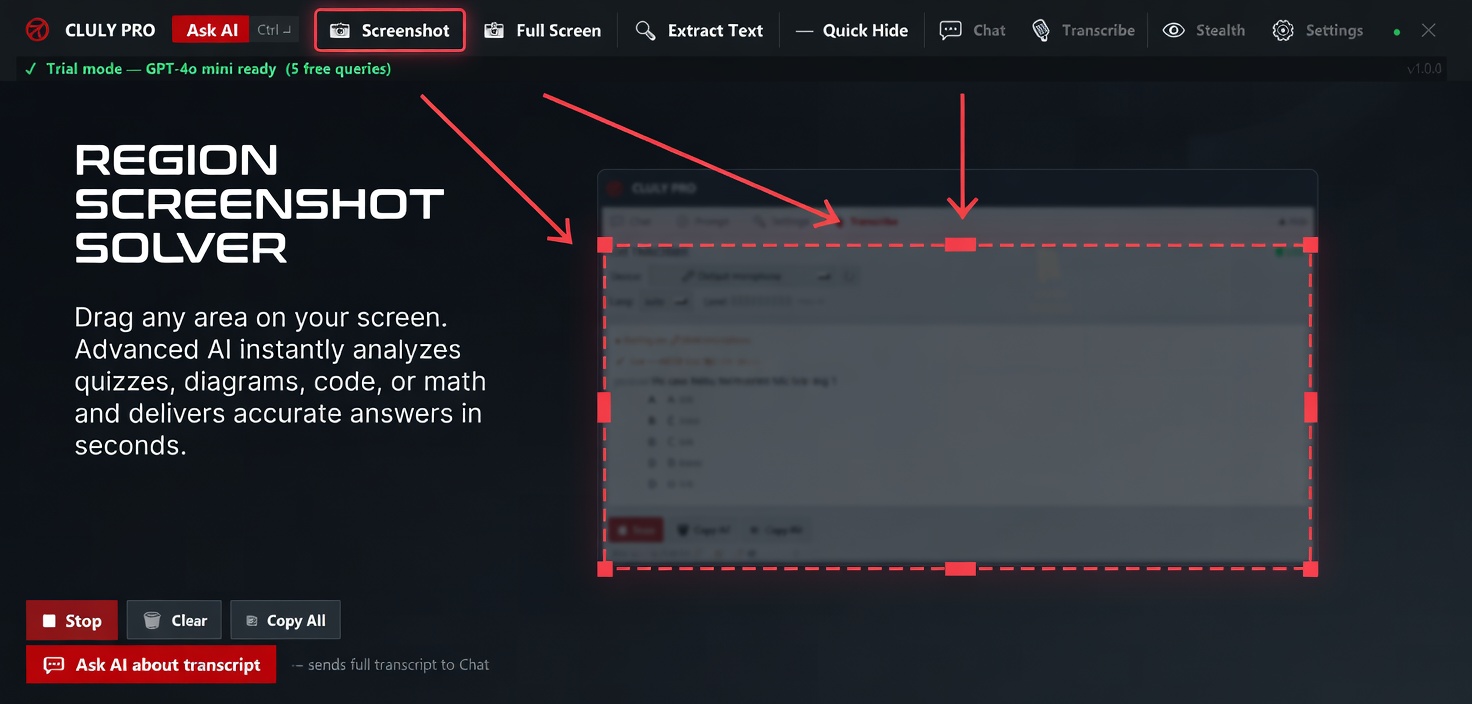 Region Screenshot Solver